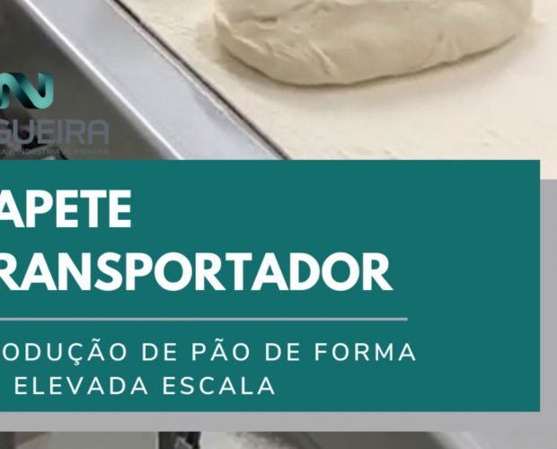 TAPETE TRANSPORTADOR